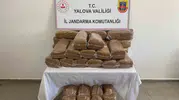 Yalova jandarmasından kaçak tütün operasyonu