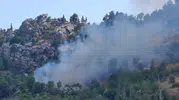 Alanya'da yaylada çıkan yangın korkuttu