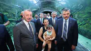 Bakan Çiftçi Kocaeli'de sokak hayvanları için verileri paylaştı