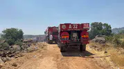 Gaziantep'te orman yangını korkuttu