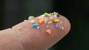 Plastiklerin iç organlardaki gizli rotası artık lazerle izleniyor