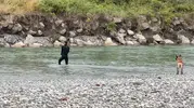 Kelkit Irmağı’nda kaybolan İlker için arama ekipleri sahaya döndü