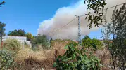 Balıkesir Gömeç ormanlarında alevler rüzgarla büyüyor