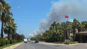 Kepez'de ormanlık alanda yangın paniği