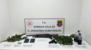 Bafra jandarmasından uyuşturucu baskını