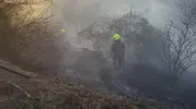 Burhaniye’de dere kenarındaki yangın korkuttu