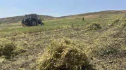 Yozgat çiftçisi bu yıl mercimekte yüksek verim bekliyor