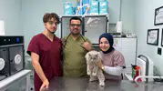 Bursa'da kısırlaştırma operasyonuna giden kedi kliniği birbirine kattı