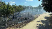 Çanakkale Yenice’de tarım arazisinde yangın paniği yaşandı