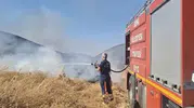 Bingöl Genç’teki araziler alevlere teslim oldu