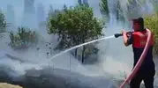 Adıyaman Besni’deki bahçede çıkan yangın ağaçları küle çevirdi