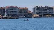 Tekirdağ açıklarında yunuslarla keyifli karşılaşma