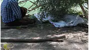 Hakkari Derecik'te beş gün süren arama çalışmaları acı bitti