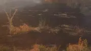 Şuhut'ta anız yangını korkuttu