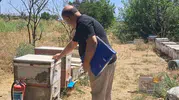 Aydınlı arıcılar için kovan sayımı başladı