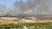 Şanlıurfa Karaköprü’de orman yangını paniği