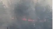 ODTÜ ormanında korkutan yangın büyümeden durduruldu