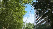 Belçika'da bir apartman dairesinde çıkan yangın paniğe yol açtı