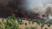 Diyarbakır yangınlarla boğuşuyor iki ayda 100 bin hektar alan yandı