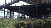 Maltepe'de orman kenarındaki restoran alevlere teslim oldu