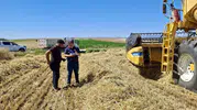 Afyonkarahisar tarlalarında hummalı hasat mesaisi başladı
