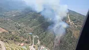Narlıdere orman yangını ekiplerin müdahalesiyle söndürüldü