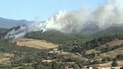 Çanakkale Bayramiç ormanlarında yangın paniği