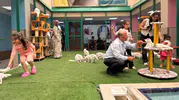 Van kedilerini görmek isteyenler Kedi Villası’na akın ediyor