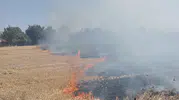 Bandırma’da çıkan anız yangını büyümeden söndürüldü