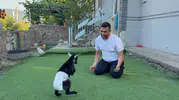 Karabükte bir ailenin evinde yaşayan engelli keçinin hikayesi