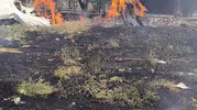 Siirt Kurtalan'da bahçe yangını evlere sıçramadan söndürüldü