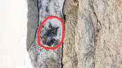 Hakkari’de kaybolan dağcının cansız bedenine ulaşıldı
