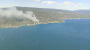 Yalova Armutlu ormanlarında yangın paniği