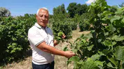 Yozgatın bozkırında Karadeniz rüzgarı esiyor