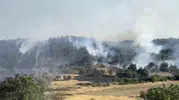 Balıkesir Altıeylül’de orman yangını paniği