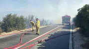 Orhangazi orman yangını söndürüldü