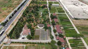 Samsun ormanları için her yıl 3 milyon fidan yetiştiriyor