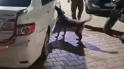 Kuzey Marmara Otoyolu'nda uyuşturucu sevkiyatına suçüstü