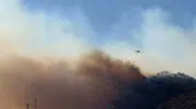 Çanakkale Ayvacık’ta orman yangını paniği