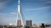 Rotterdam'da tramvay kazası Erasmus Köprüsü'nde 15 kişi yaralandı