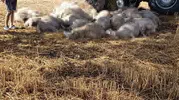 Edirne’de sert hava koşulları köyleri vurdu