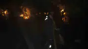Aydın Efeler'de zeytinlik yangını 200 ağaç yandı