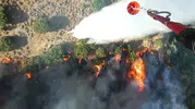 Menemen’de çıkan orman yangını kontrol altına alındı