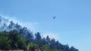 Balıkesir ormanlarında alevler yükseliyor