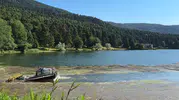 Gölcük Tabiat Parkı'nda yosun temizliği başladı