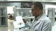 Çekirge sürüsü mü geldi? Uzmanlar istila korkusuna son noktayı koydu?