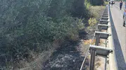 Bilecik'te sorumsuz bir izmarit ormanı yakıyordu