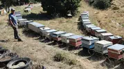 Burdur’da arı kovanları tek tek kayıt altına alınıyor