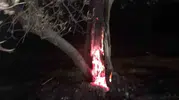 Burhaniye'de gece yarısı yangın paniği