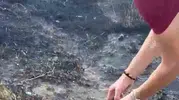 Denizli’deki yangında kaplumbağaya hayat öpücüğü